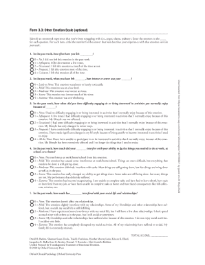 Form 3.3 Other Emotion Scale