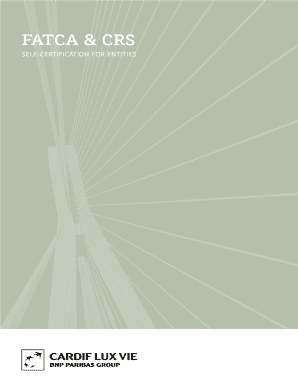 FATCA & CRS Self-Certification for Entities