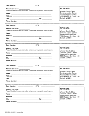 Wayne County Clerk Payment Slip
