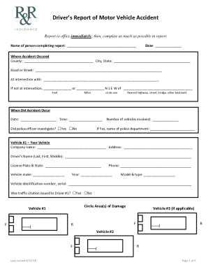 Vehicle Accident Reporting Form
