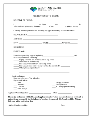 Verification of No Income Form