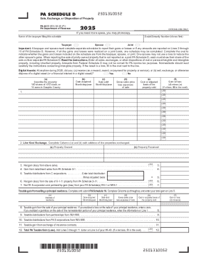 PA Schedule D 2025