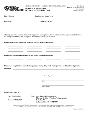 Missouri Physical Rehabilitation Report Form