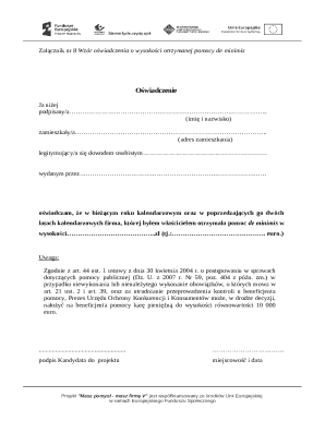 De Minimis Aid Declaration Form