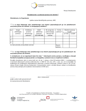 EU De Minimis Aid Declaration Form