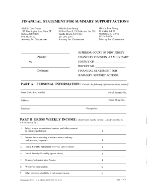 Financial Statement for Summary Support Actions