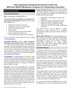 2025 Form METBIT-20S Business Tax Return