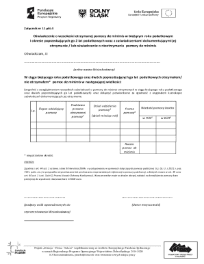 De Minimis Aid Declaration Form