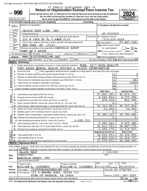 IRS Form 990 2024