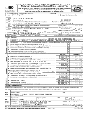 IRS Form 990 2024