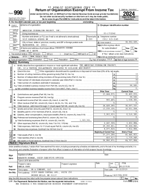 IRS Form 990 2024