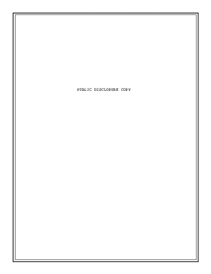 IRS Form 990 2024