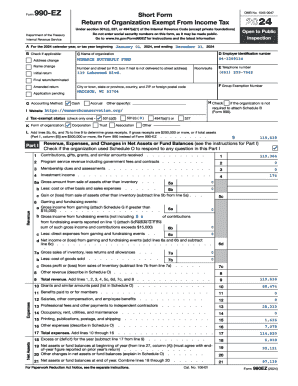 Form 990-EZ 2024