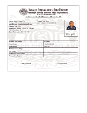 Provisional Exam Form for UG Semester II