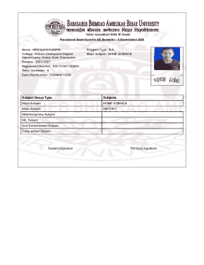 Provisional Exam Form for UG Semester II Examination 2024