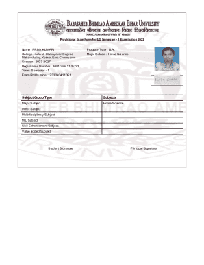 Provisional Exam Form for UG Semester - 1 Examination 2023