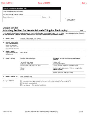 Official Form 201 Voluntary Petition for Non-Individuals Filing for Bankruptcy