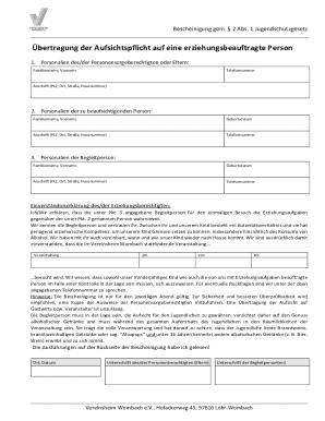 German Youth Protection Law Custody Transfer Form