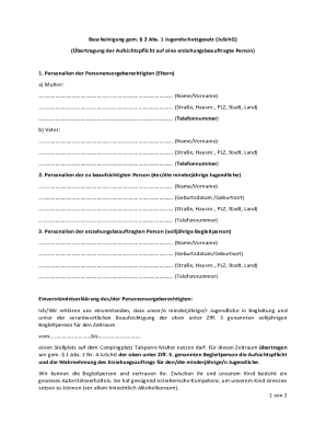 German Youth Protection Law Custody Transfer Form