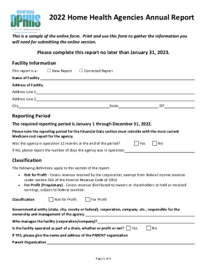 2022 Home Health Agencies Annual Report