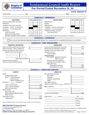 Semiannual Council Audit Report
