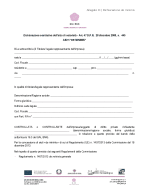 Allegato D | Dichiarazione de minimis