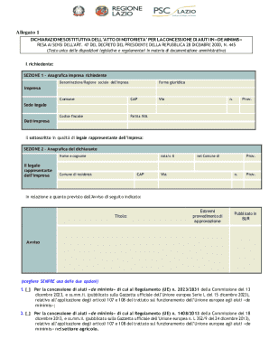 Italian De Minimis Aid Declaration Form