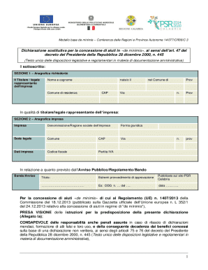 De Minimis Aid Declaration Form