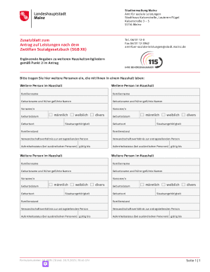 Mainz Social Benefits Application Supplement