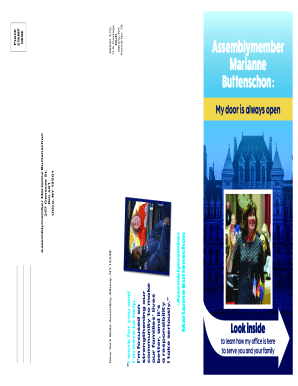 New York Assembly Constituent Feedback Form