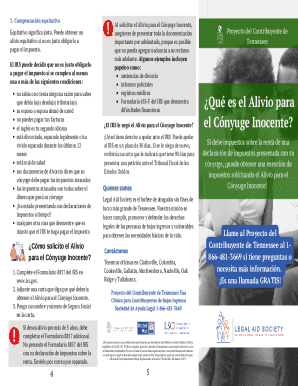 IRS Innocent Spouse Relief Form