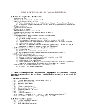 Peruvian Electronic Payroll Form