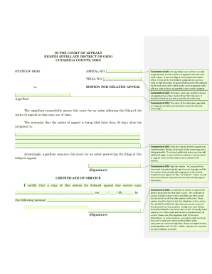 Motion for Delayed Appeal