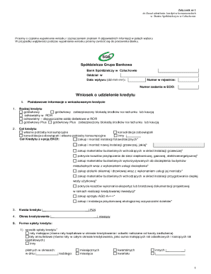 Consumer Loan Application Form
