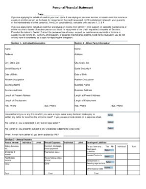 Personal Financial Statement Form