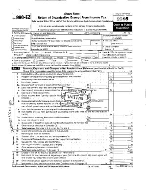 Form 990-EZ 2015