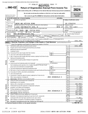 Form 990-EZ 2024