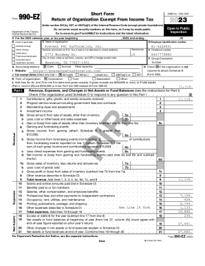 Form 990-EZ 2023