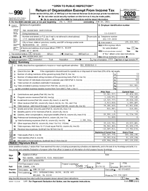 IRS Form 990 2020
