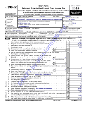 Form 990-EZ 2024