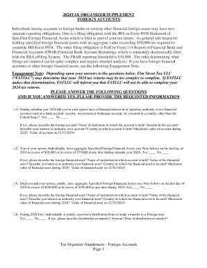 2024 Foreign Accounts Tax Organizer Supplement
