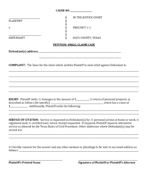 Texas Small Claims Petition Form