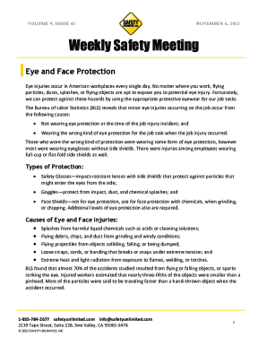 Weekly Safety Meeting on Eye and Face Protection