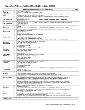 NIH Stroke Scale Assessment Form
