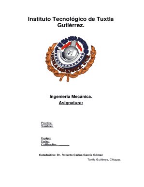 Academic Practice Report Template