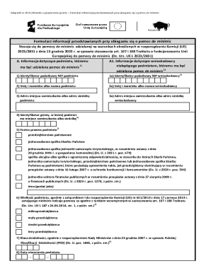 EU De Minimis Aid Information Form