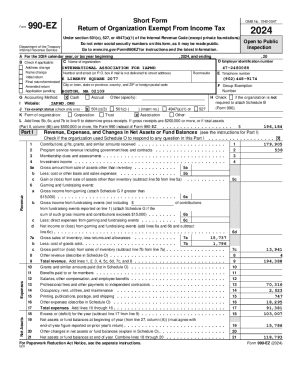 Form 990-EZ 2024