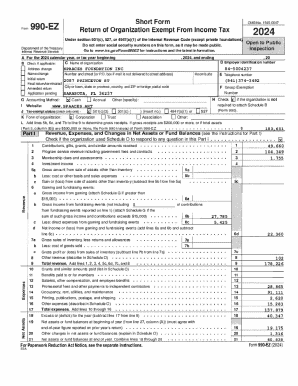 Form 990-EZ 2024