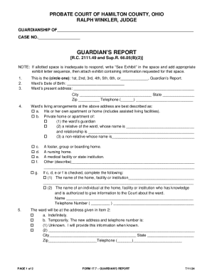 Guardian's Report Form 17.7