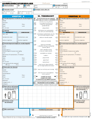 Dutch Car Accident Form